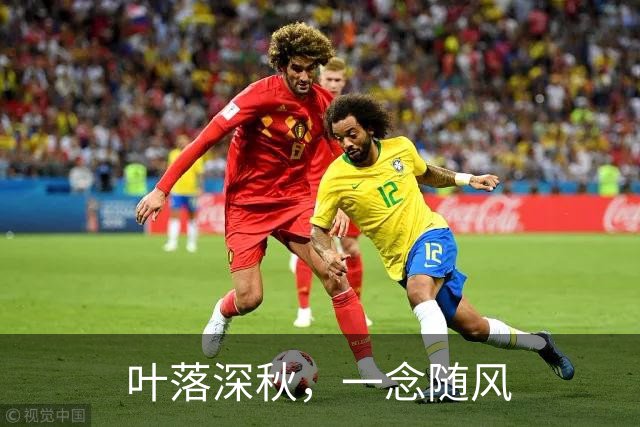 叶落深秋，一念随风